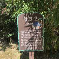 밀양여행 선비의 정원 밀양 월연정