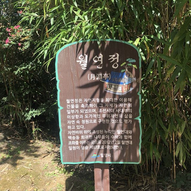 밀양여행 선비의 정원 밀양 월연정