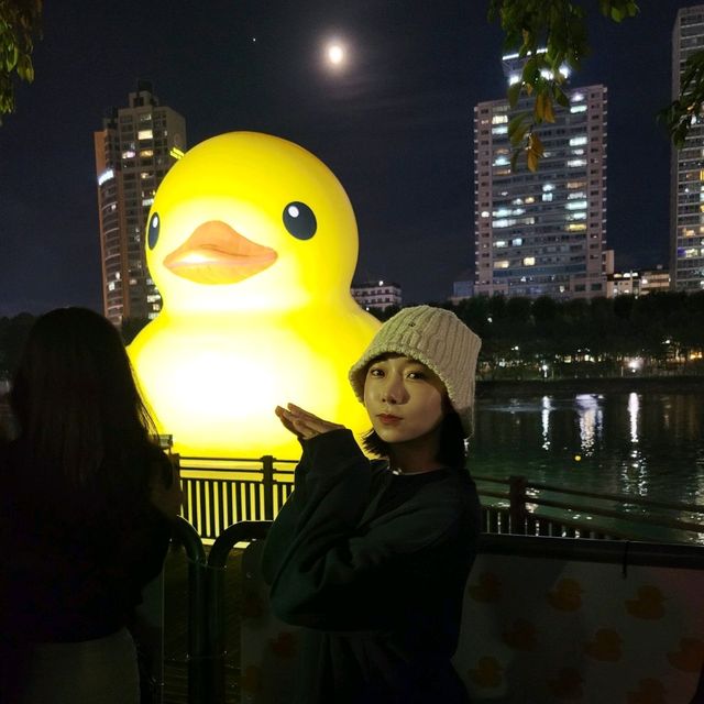 8년만에 돌아온 잠실 석촌호수 러버덕 💛