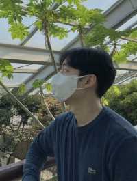 #서울식물원#가을겨울데이트갈곳