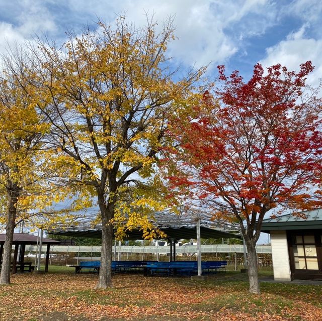 【北海道:旭山】日本最北の動物園を堪能！