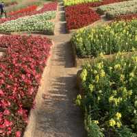 สวนแม่ฟ้าหลวง พิกัดเชียงราย