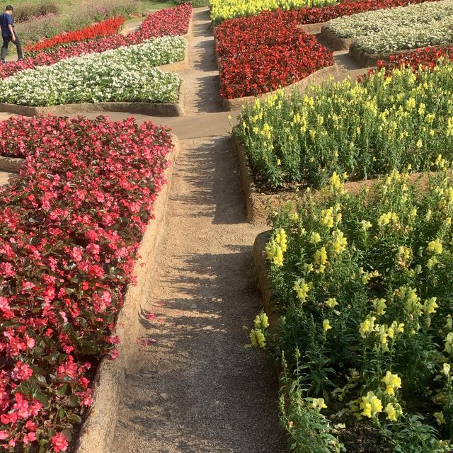 สวนแม่ฟ้าหลวง พิกัดเชียงราย