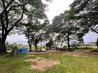 323 Camp & Slow bar cafe