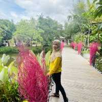 บ้านสวนอ่าวนางคาเฟ่ "Baan Suan Aonang Café Soi 9" 