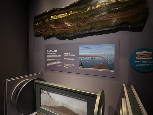 What’s inside the Perth Museum!