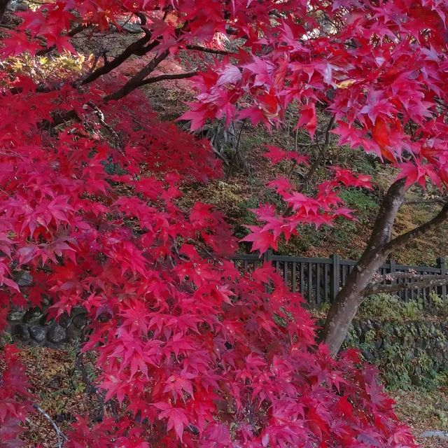 那須塩原