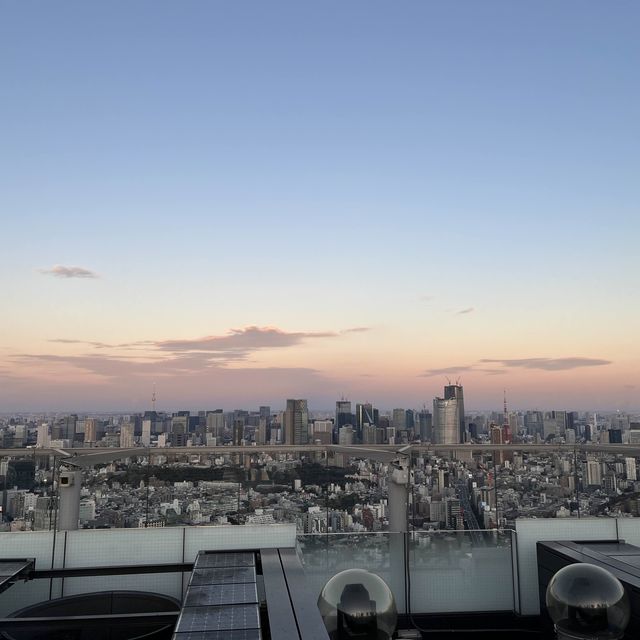 【東京】渋谷から東京を見下ろす✨SHIBUYA SKY