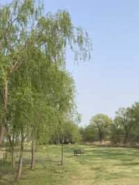 韓國 天空公園｜ 打卡景點
