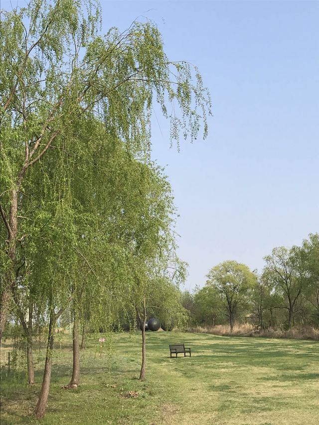 韓國 天空公園｜ 打卡景點