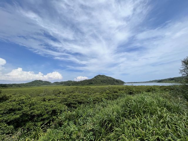 西表島が最高すぎた