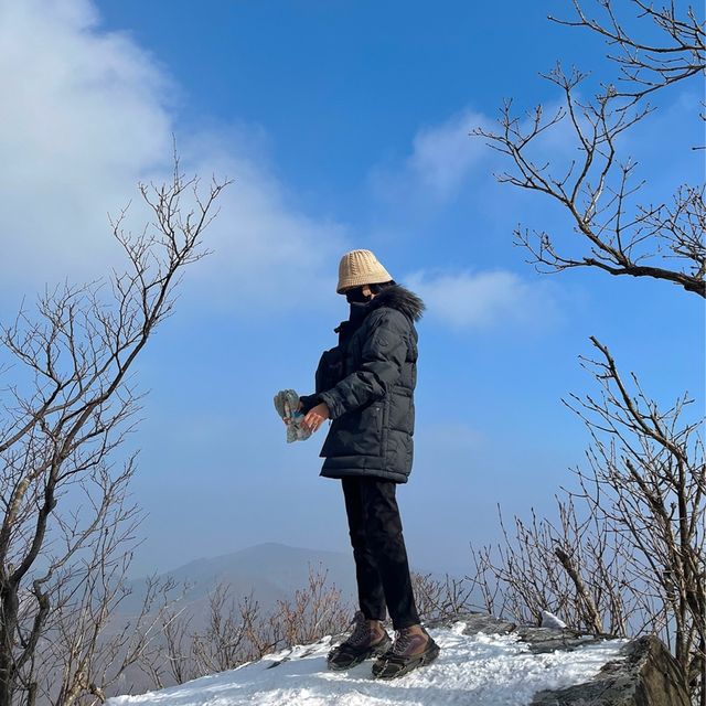 등린이도 가능한 영남알프스 가지산 겨울산행