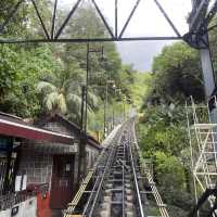 Malaysia Rainforest