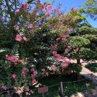 寧靜休閒好去處 （志蓮淨苑）