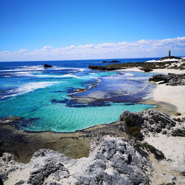 Rottnest island 