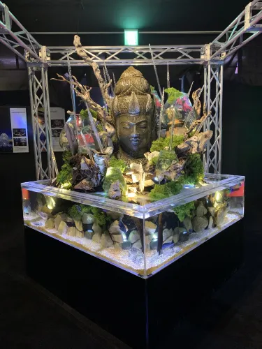 【横浜】期間限定水族館「UNDER WATER SPACE」