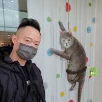 海港城最正抵買精品貓畫展
