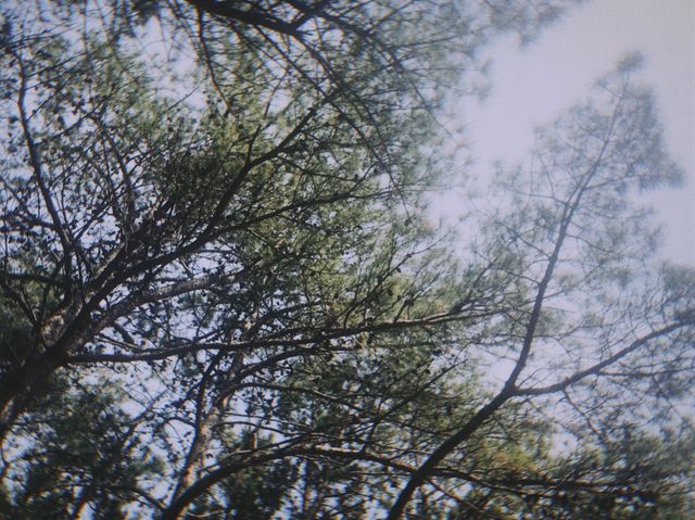 부산 어린이대공원