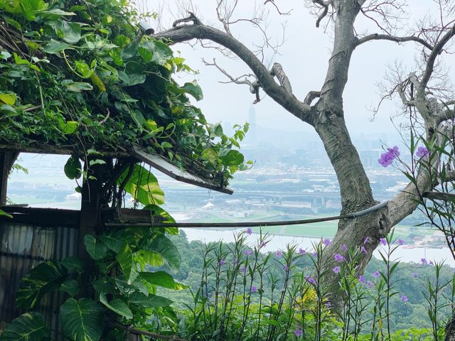 台北劍潭山登山步道｜老地方觀景平台🏔IG熱門打卡景點