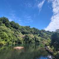 제주도 홀로여행 - 천지연폭포