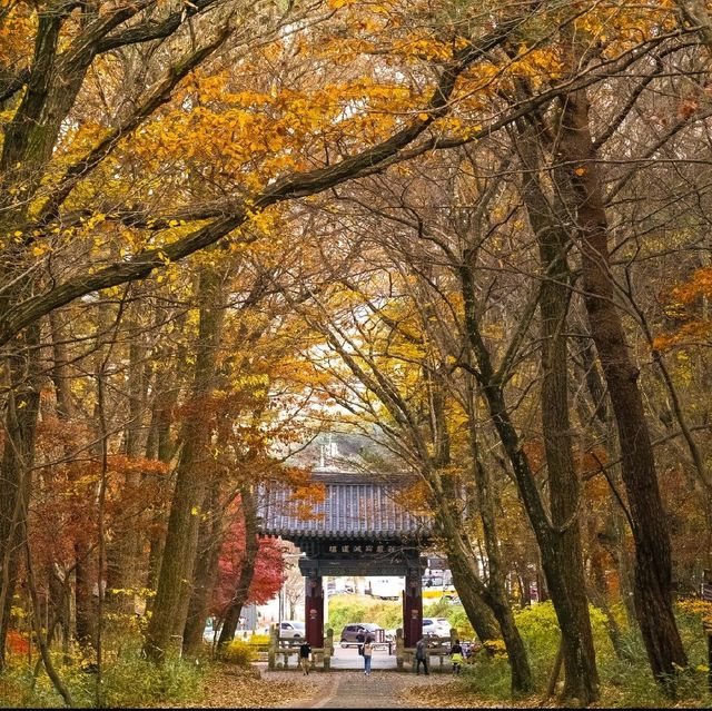 가을 단풍 여행 '울산 석남사'