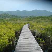 สถานีพัฒนาทรัพยากรป่าชายเลนที่ 4 เกาะช้าง