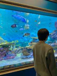 동심을 찾아서! 🐠코엑스 아쿠아리움🐠