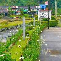 Nanu oya station 