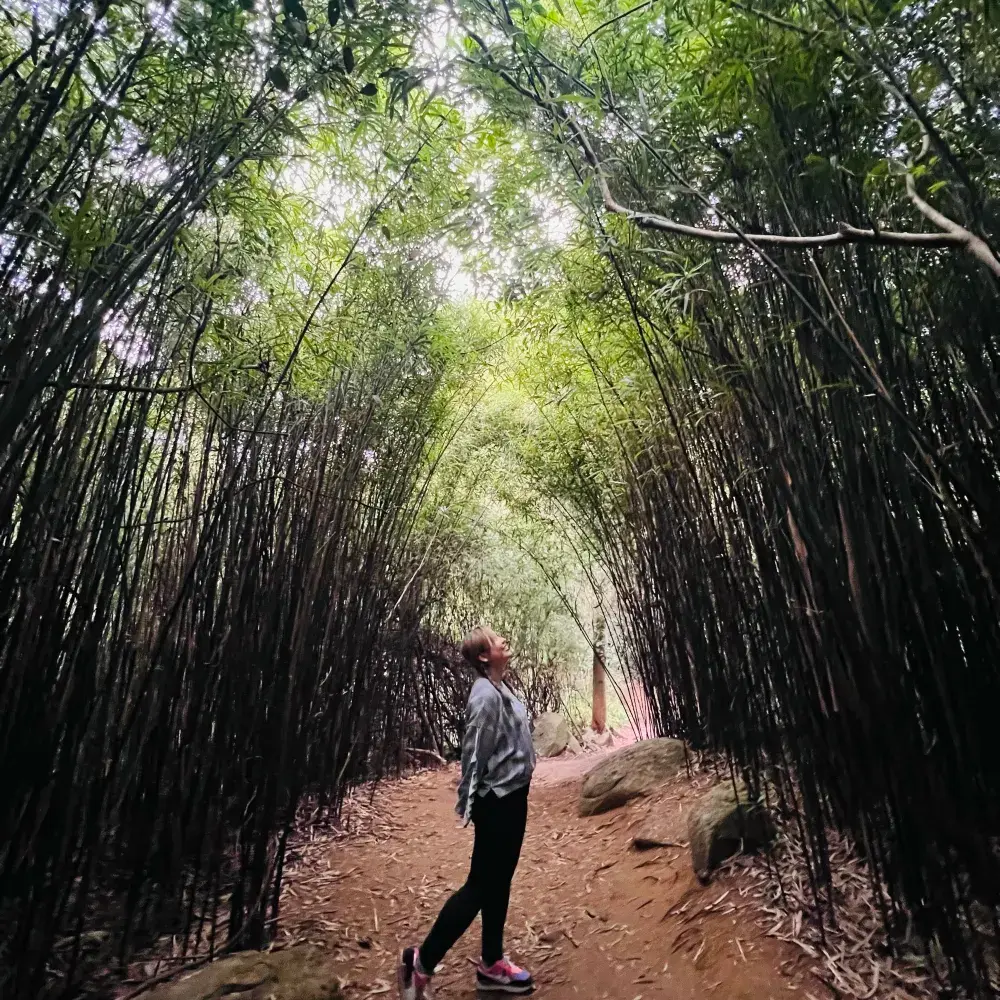河背水塘行山｜竹林隧道。S型水壩。小瀑布｜超輕鬆易行圍繞水塘走一圈