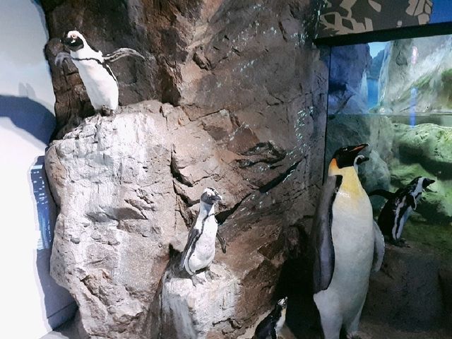 부산 데이트코스, SEA LIFE 아쿠아리움