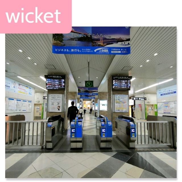 【兵庫県 明石市】季節の花咲く明石駅🌸🌸🌸
