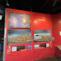 帶小朋友認識香港嘅火山石