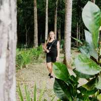 The Farm at Guinciaman😍