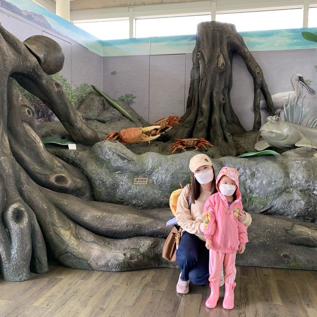 來一趟親子濕地探索之旅