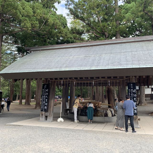 札幌のパワースポット&お花見スポット　北海道神宮を参拝🙏