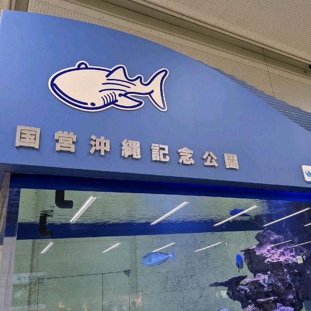 那覇空港を探索してみた