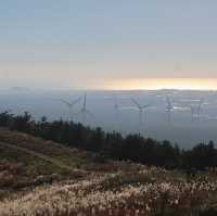 서쪽으로는 협재해변과 비양도, 동쪽으로는 한라산이 보이는 금오름🏔✨