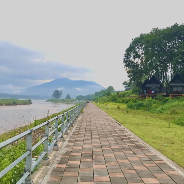 หมอกหน้าฝนริมแม่น้ำโขง ที่ไร่แสงอรุณ