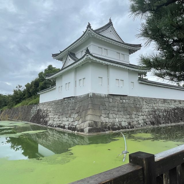 京都に来たなら世界遺産二条城に行こう‼︎✨
