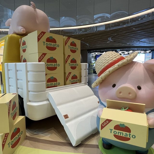 夏日·動物 · Lu Lu 豬🐷🫶🏻