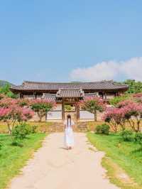 안동을 아직도 안 가봤다고?  