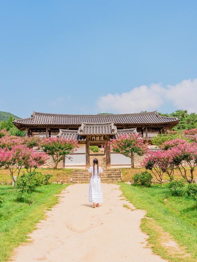안동을 아직도 안 가봤다고?  