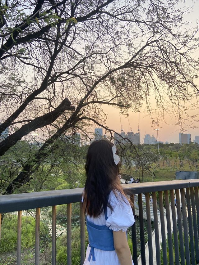 สวนเบญจกิติ สวนสาธารณะของกรุงเทพฯ