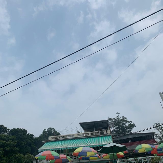 【遊山玩水吃喝玩樂】大帽山山腰舊式茶樓飲早茶