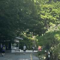 구미가 당기는 구미산 여행