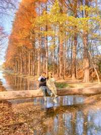 외나무다리 포토존으로 유명한 #천년숲정원 🍁 