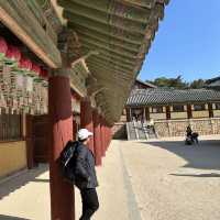 Gyeongju , is a must place to enjoy autumn 🍂