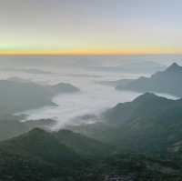 ภูชี้ฟ้า - ชมทะเลหมอกเคล้าลมหนาวท่ามกลางขุนเขา