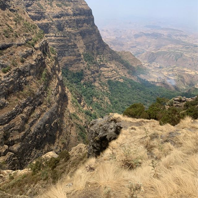 Wandering through the Wild African North.