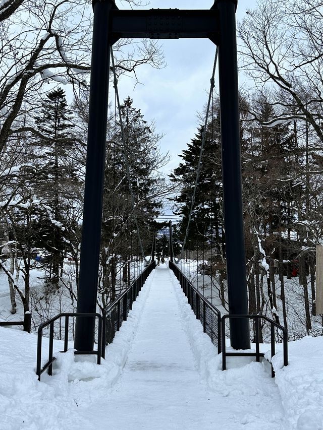 눈오는 날 더 매력적인 후키다시 공원 🏞️